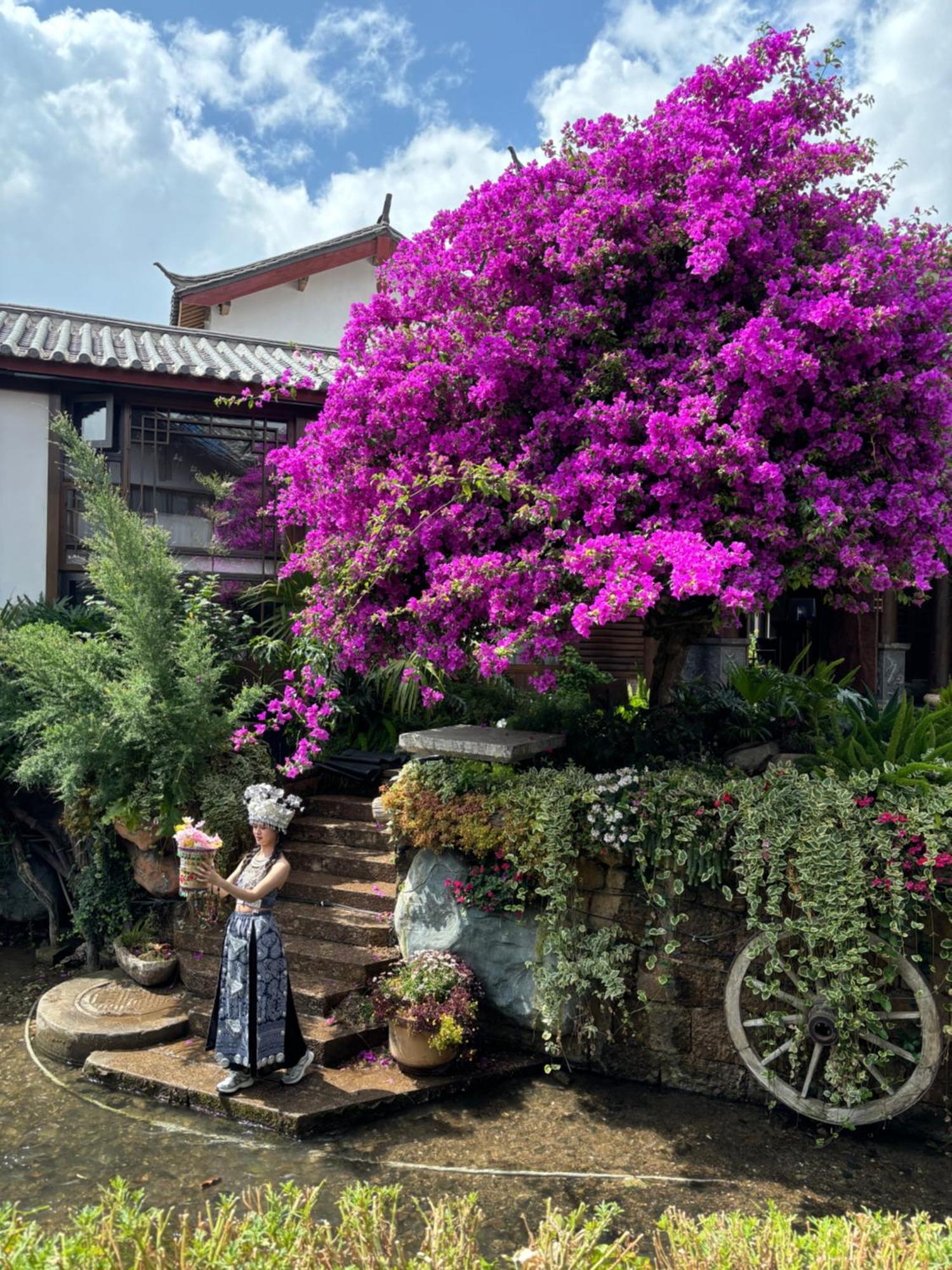 Juxian Boutique Homestay Lijiang  Exterior photo